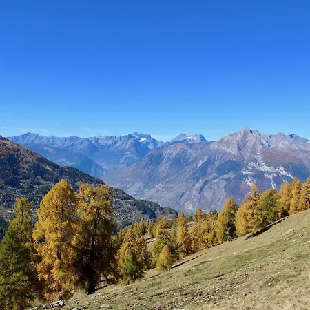 Near Piste De Tracouet * Nendaz