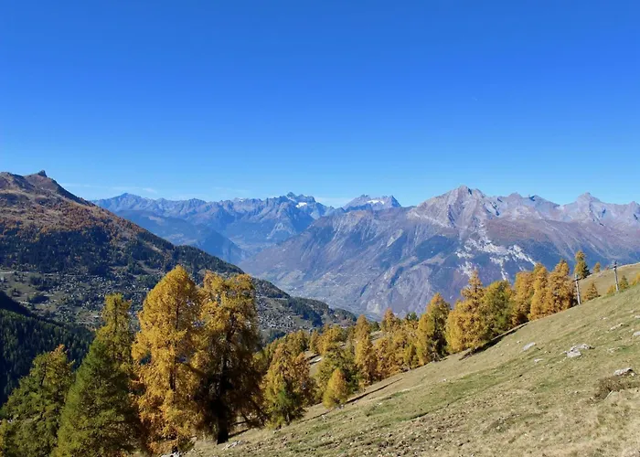 Near Piste De Tracouet * Nendaz